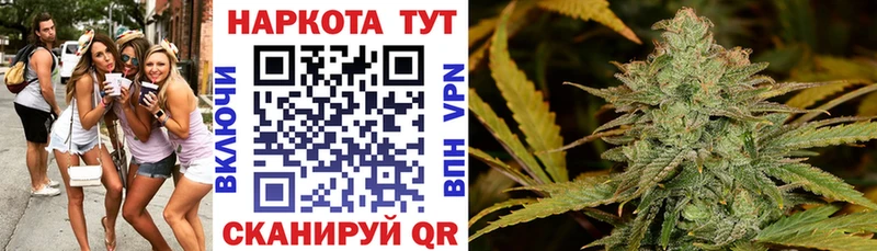 Что такое Сосновка Псилоцибиновые грибы Канабис APVP ГАШИШ Мефедрон гидра онион Кокаин