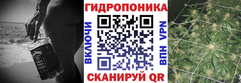 Бошки Шишки Ganja  продажа наркотиков  hydra ссылки  Сосновка 